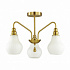 Люстра потолочная Lumion Eleonora 4562/3C