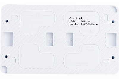 Выключатель двухклавишный с розеткой SE AtlasDesign Profi54 белый ATN540174