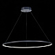 Люстра подвесная ST-Luce ST603 IN ST603.443.46