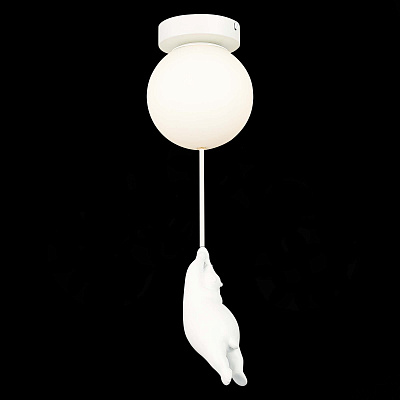 Потолочный светильник Evoluce Modena SLE115402-01