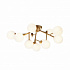 Потолочная люстра Maytoni Dallas MOD545CL-12BS