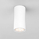 Уличный потолочный светильник Elektrostandard Light  35129/H белый LED a056257