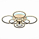 Люстра потолочная EVOLED Cerina SLE500542-08RGB
