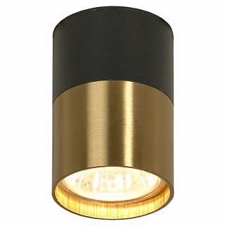 Светильник Lussole Gilbert  LSP-8555