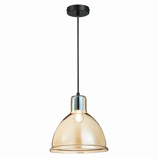 Подвесной светильник Evoluce Bacchi 452602