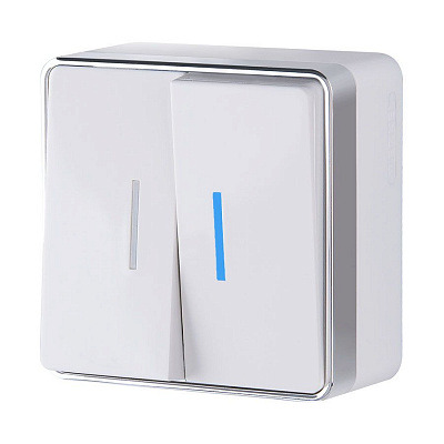 Выключатель двухклавишный с подсветкой Werkel Gallant белый a051586