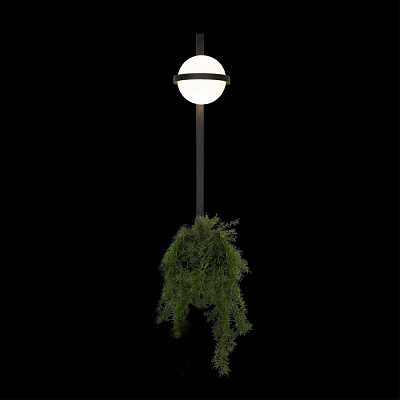 Настенный светильник Loft It Jardin 10121W/B Dark grey