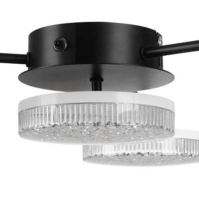 Потолочная люстра Lumion Didana 8236/4CL