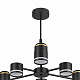 Люстра Lumion Virsava 8234/6C