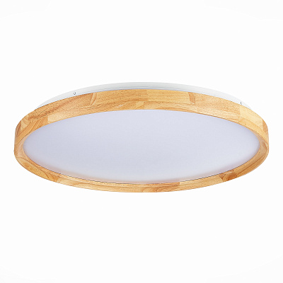 Потолочный светодиодный светильник Evoluce Delia SLE201382-01