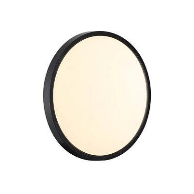 Настенно-потолочный светодиодный светильник Sonex Alfa Black 7660/24L