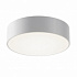 Уличный потолочный светильник Maytoni Zon IP O431CL-L30W4K