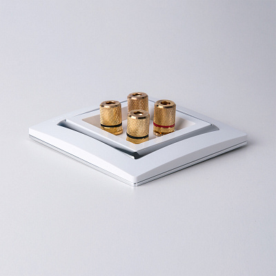 Розетка акустическая Werkel белые a051376