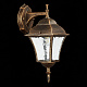 Уличный настенный светильник ST Luce Domenico SL082.211.01