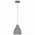 Подвесной светильник Arte Lamp Braccio A2054SP-1GY