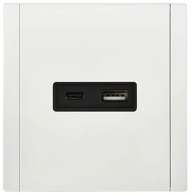 Розетка USB A+C 3,1А IEK FORTE&PIANO FP250M FP-U22-D31-M-K01 металл белый
