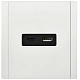 Розетка USB A+C 3,1А IEK FORTE&PIANO FP250M FP-U22-D31-M-K01 металл белый