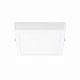 Потолочный светодиодный светильник Lightstar Zocco 324124
