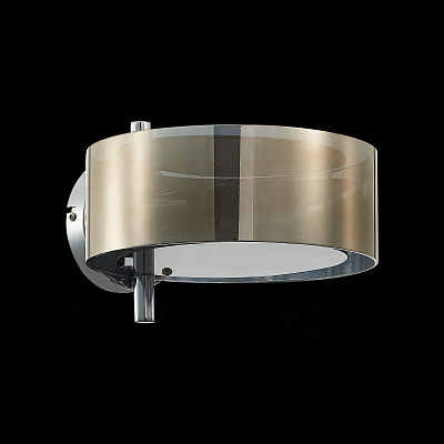 Настенный светильник Evoluce Foresta SL483.701.01