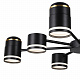 Люстра Lumion Virsava 8234/8C