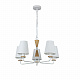 Подвесная люстра Arbor F-Promo 2736-5P