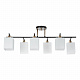 Потолочная люстра Arte Lamp Merope A4071PL-6BK