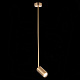 Светильник подвесной  ST Luce Sormano SL1206.303.01