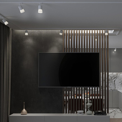 Светильник трековый однофазный двухжильный Novotech Elina 370903