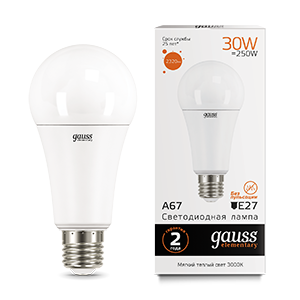 Лампа Gauss Elementary A67 30W 2320lm 3000K E27 LED 73219