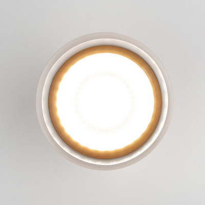 Потолочный светильник Elektrostandard Light LED 35140/H a057160