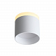 Потолочный светодиодный светильник ST Luce Panaggio ST102.502.09