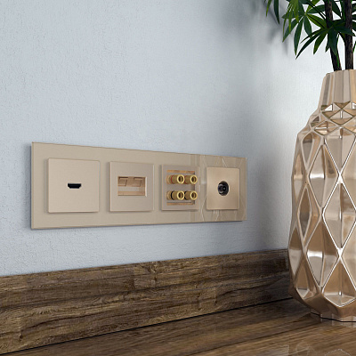 Накладка для двойной розетки RJ-45 Werkel шампань a050852