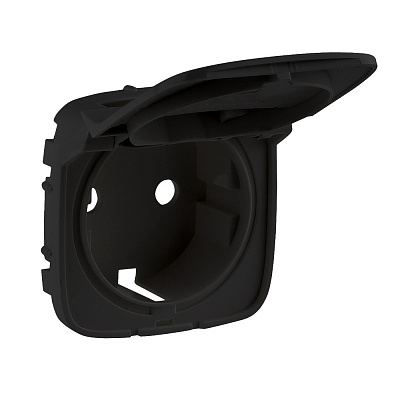 Лицевая панель розетки 2К+З с крышкой антрацит Legrand Valena Alure 754848