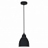 Подвесной светильник Arte Lamp Braccio A2054SP-1BK
