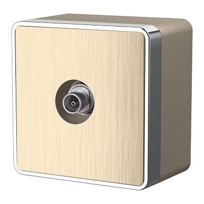 Розетка ТВ оконечная Werkel Gallant шампань рифленый a041425