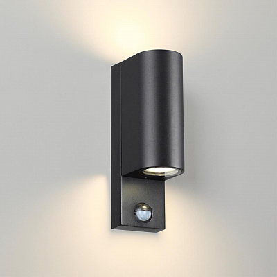 Уличный настенный светильник с датчиком движения Odeon Light Motto 4390/2W