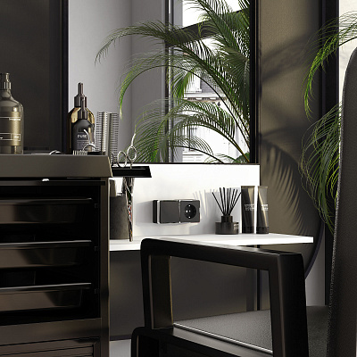 Переключатель одноклавишный проходной Werkel Gallant черный/хром a050978