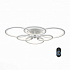 Потолочная светодиодная люстра ST Luce Twiddle Dimmer SL867.502.06