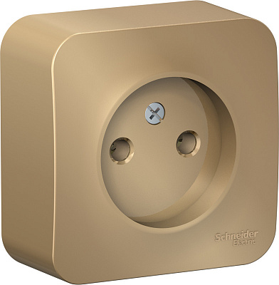 Розетка SE Blanca титан BLNRA000104