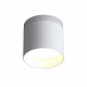 Потолочный светодиодный светильник ST Luce Panaggio ST102.502.12
