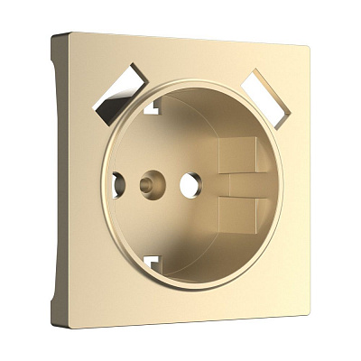 Накладка для USB розетки Werkel шампань a050854