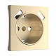 Накладка для USB розетки Werkel шампань a050854
