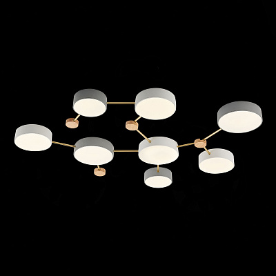 Потолочный светодиодный светильник Evoluce Dossena SLE600102-08