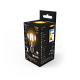 Лампа Gauss Filament А60 10W 930lm 2700К Е27 LED 102802110 (12 шт)