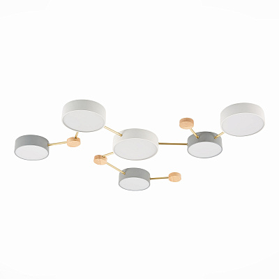 Потолочный светодиодный светильник Evoluce Dossena SLE600102-06