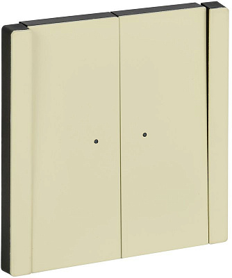 Выключатель 2-клавишный с индикацией 10А IEK FORTE&PIANO FP806M FP-V20-1-10-1-M-K41 металл серый сланец