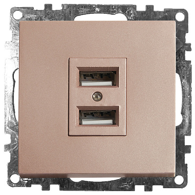 Розетка USB 2-местная (механизм), STEKKER Катрин GLS10-7115-02, 250B, 2,1A, шампань