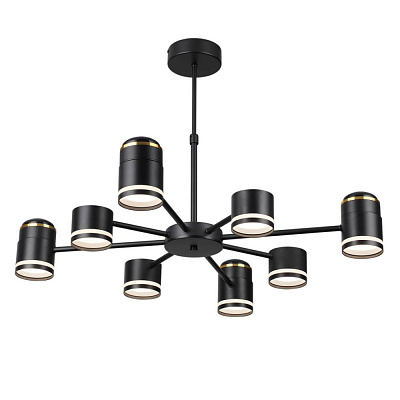 Люстра Lumion Virsava 8234/8C