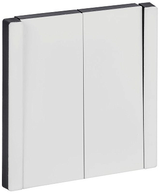 Выключатель 2-клавишный проходной 10А IEK FORTE&PIANO FP207M FP-V22-0-10-1-M-K01 металл белый
