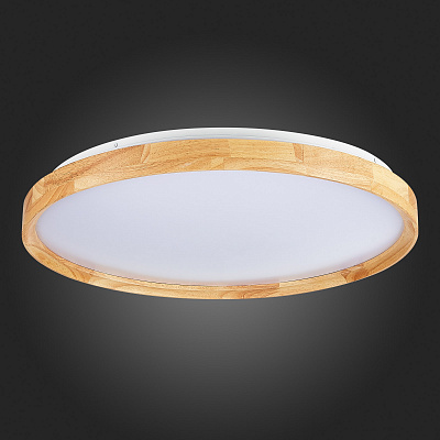 Потолочный светодиодный светильник Evoluce Delia SLE201382-01